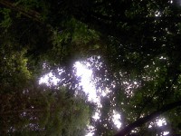 /album/galeria-de-fotos-amo-te-l-/img100-jpg/